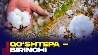Qo‘shtepa – birinchi!