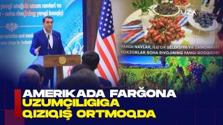 Америкада Фарғона узумчилигига қизиқиш ортмоқда (+видео)
