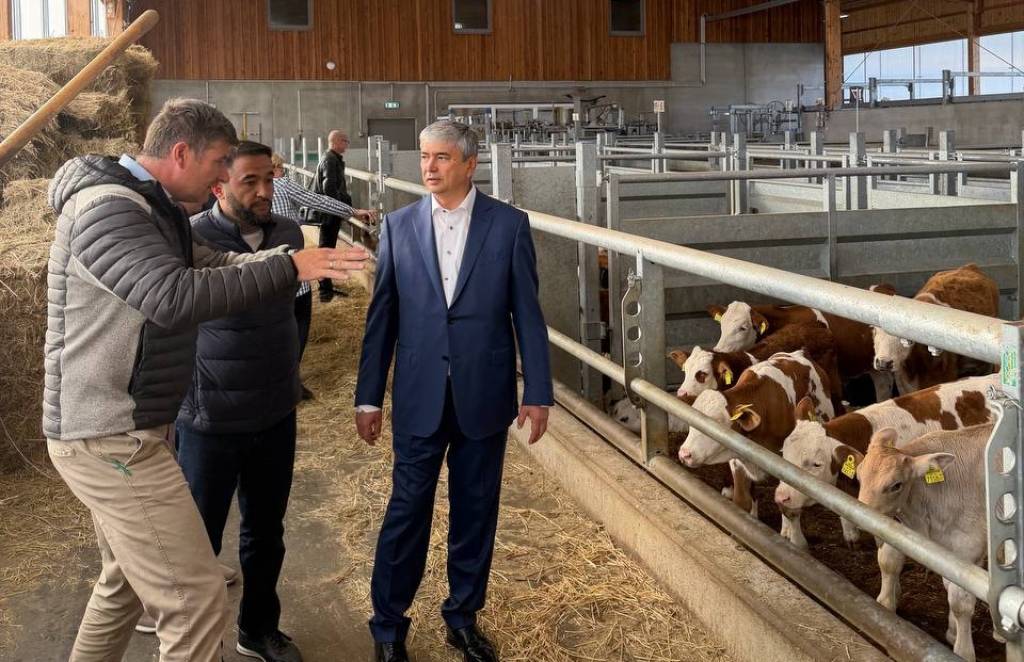 Chorvachilikda xalqaro hamkorlik yangi imkoniyatlar beradi