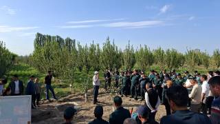 Боғлардан мўл ҳосил олиш кузги парваришдан бошланади