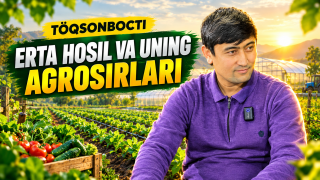 To‘qsonbosti: Erta hosil va uning agrosirlari