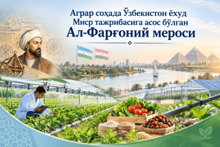 Agrar sohada O‘zbekiston va Misr hamkorligi: Al-Farg‘oniy merosiga asoslangan tajriba