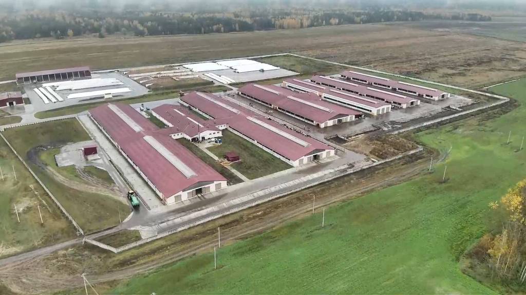 Беларусда ўзбекистонлик тадбиркорларнинг чорвачилик комплекси очилди
